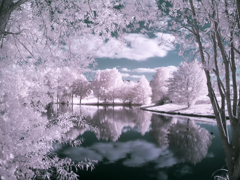 Seeblick nahe Kalchreuth