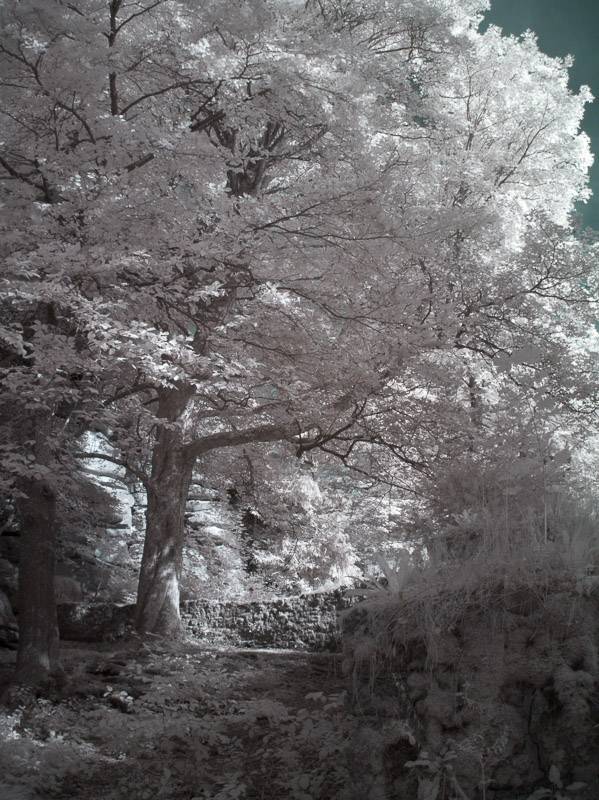 Am Roten Schlo&szlig;